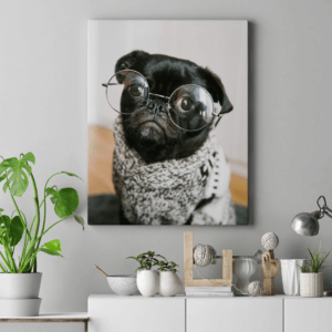 Telas personalizadas com fotografias Animais de estimação