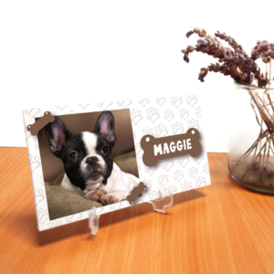 Suporte PVC com animal de estimação Animais de estimação 3