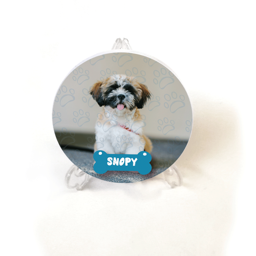 Suporte PVC com animal de estimação 4 Suporte PVC com animal de estimação Animais de estimação 4