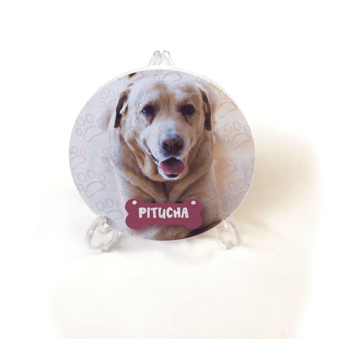 Suporte PVC com animal de estimação 6 Suporte PVC com animal de estimação Animais de estimação 6